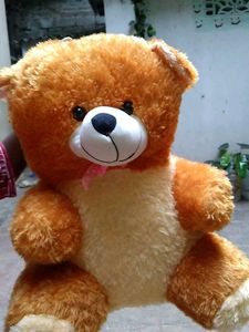 Teddy
