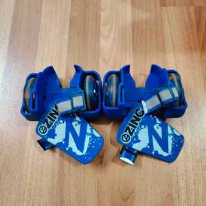 Zinc Roller Skates
