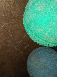 Bed 🏀 Ball Cricket Supply