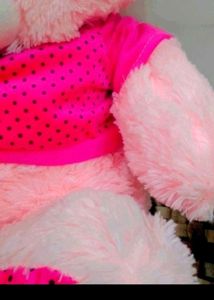 New Teddy Bear