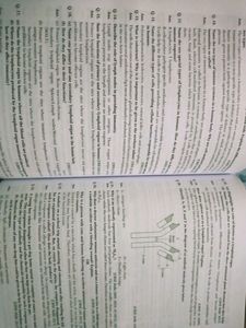 Class12 Biology Xamidea Study Guide