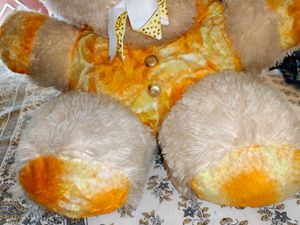 Cute Teddy Bear