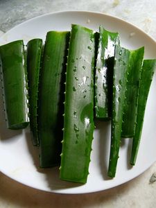 Fresh Aloevera Leaves