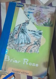 combo of 2 story books. Briar rose and pancake