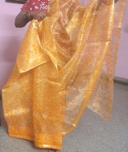 Transparent Saree with Blouse