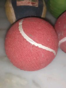 balls all are branded Maruti Cosco and nivia