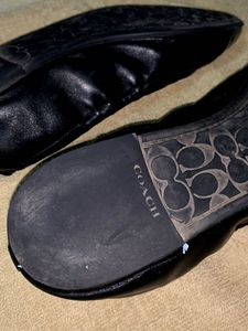Coach Bellies Black With Golden Logo