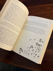 Set Of 3 Books