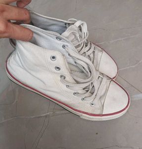 Converse White Sneakers