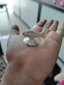 Pure Silver Fish For Laxmi Pooja Used
