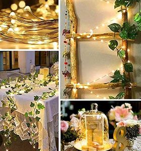 cork lights/fairy light