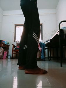 Track Pant,Active Wear,Night Pant