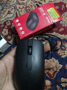 Intex Mouse 1 Nos.