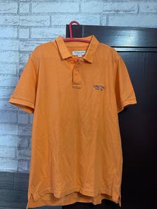 US Polo Assn Tshirt With Collars, Pure Cotton