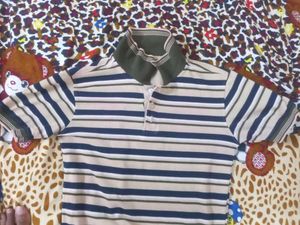 Striped Short Sleeve Polo Shirt
