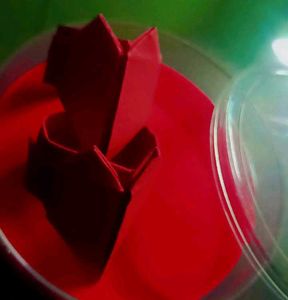 A Paper Ring💍
