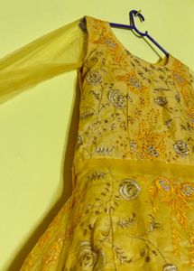 Elegant Ethnic Gown
