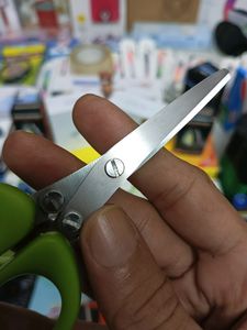 Stainless Steel vegetable Scissor