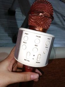 Karaoke Microphone