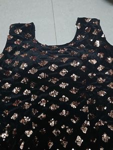 Velvet sequenied Dress