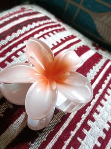 Claw Clip ,Pink , White, Orange