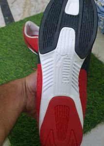 Puma Ferrari New Shoes