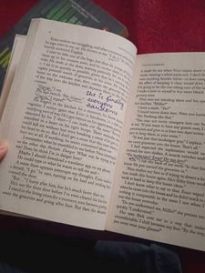 5 Books By Frieda Mc Fadden