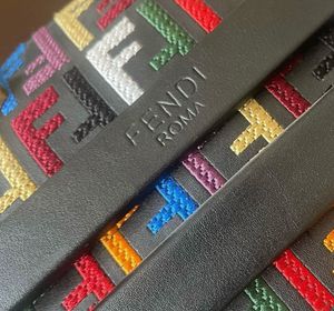 Fendi Roma Handbag