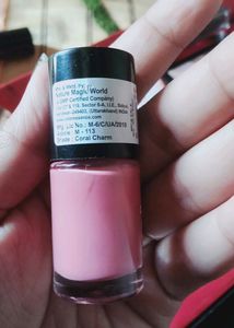 Combo Of 4 Nailpolish