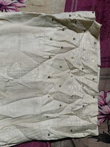Elegant Ethnic Skirt