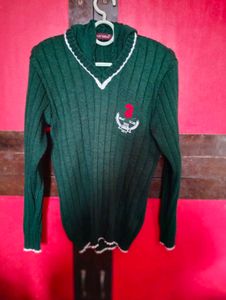 Green Colour Sports Sweater