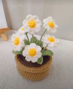Crochet Pot