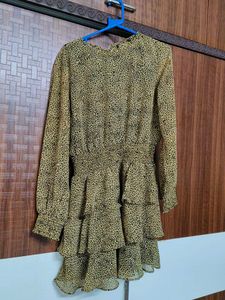 Leopard Print Mini Dress