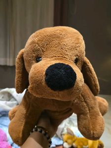 Cute Plush Dog