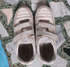 Campus White Sneakers - Size [Insert Siz