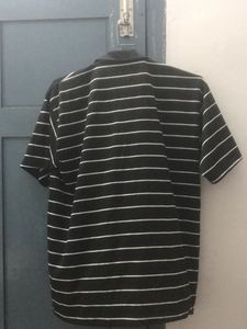 Striped Polo Shirt