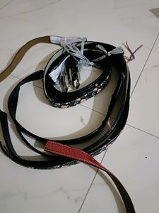 Girl Belt