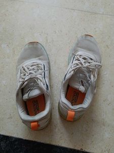 NEW CAMPUS SHOES