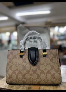 Coach Slingbags