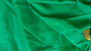 Green Colour Saree With Blue Border