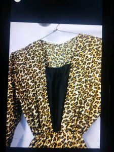 Leopard Print Mini Dress