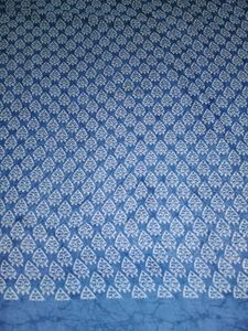 Saree+ Stiched Blouse