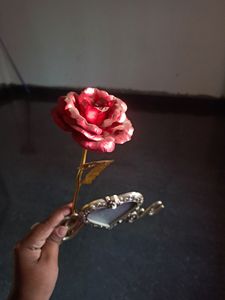 Beautiful Rose Flower Photo Frame