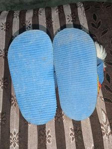 Little Steps, Big Adventures