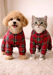 Pet Dress – Small Size (Dog / Cat)