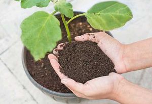 Organic Fertilizer ( जैविक खाद )