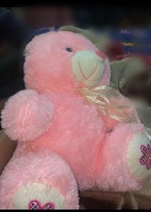 Pink Teddy Bear