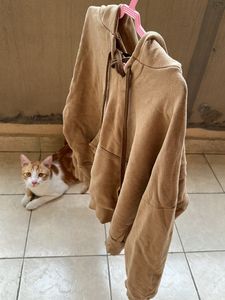 Brown Colour Hoodie