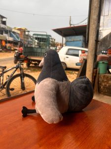Official Beast Friends Jjaltoon Saedaegal Pigeon