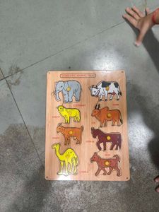 Domestic Animal Tray Puzzle
